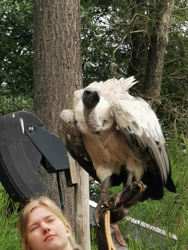 Greifvogelpark Saarburg - Thumbnail