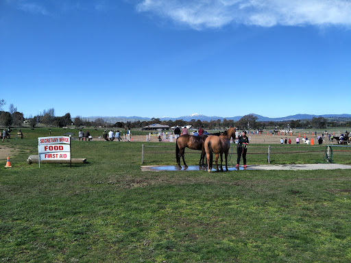 Mansfield Pony Club - Thumbnail
