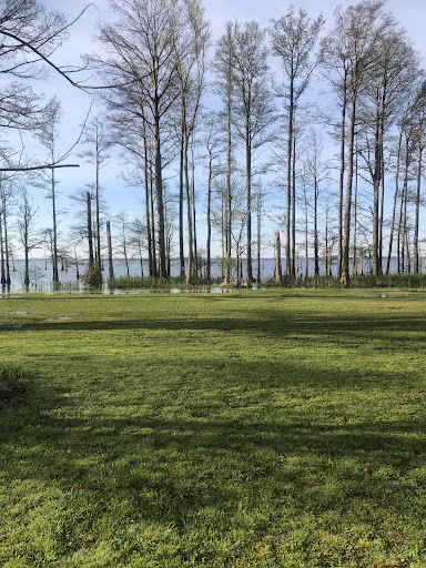 Osprey Nest Campground - Thumbnail