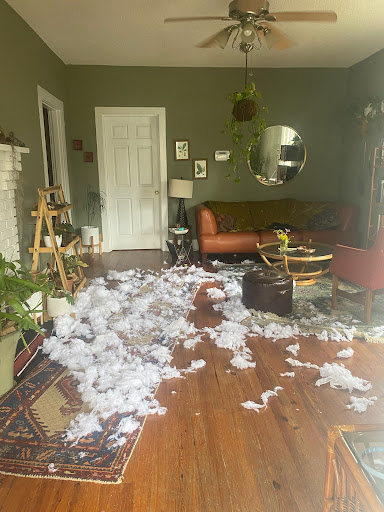 Dee's Pristine Cleaning - Visual