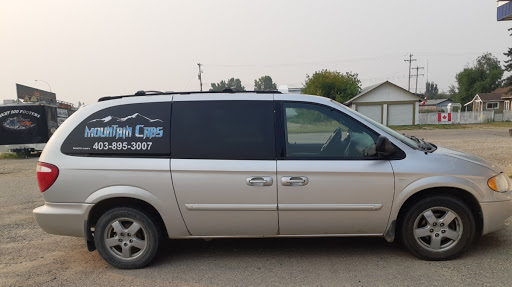 Mountain Cabs - Visual