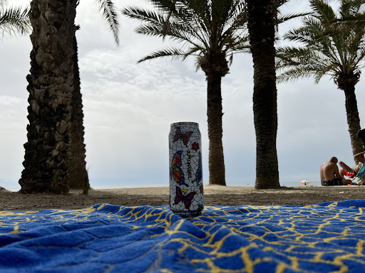 Palmeral - Visual
