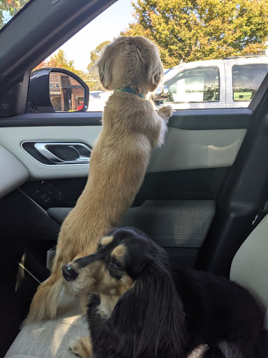 Traditions Animal Hospital