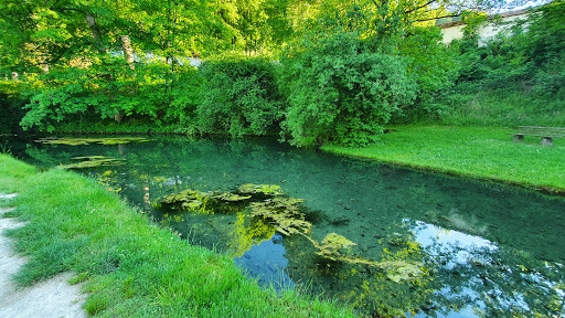 Karstquelle der Großen Lauter