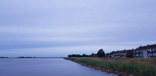 Douwe Pasdeloup Cosmediline