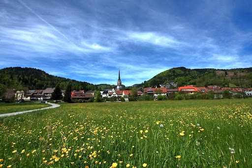 Hotel Kirchbühl Gallery - Germany
