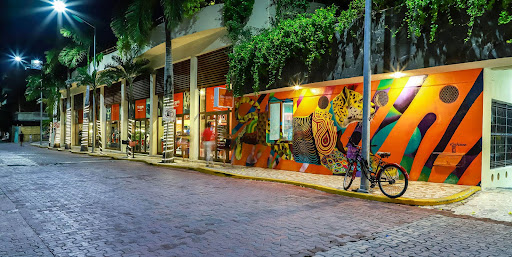 The Gym Playa del Carmen