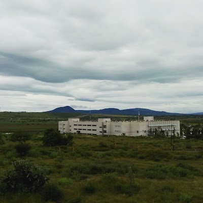 Photos of Division of Life Sciences (DICIVA) UGTO