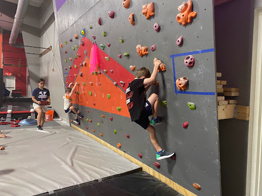 Tenacity Training - Visual