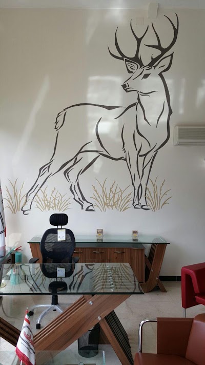 Photos of Decoran Store