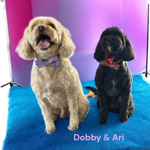 Cosset Pets Dog Grooming & Spa