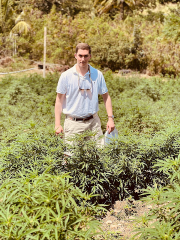 Humble and Free Wadadli by null