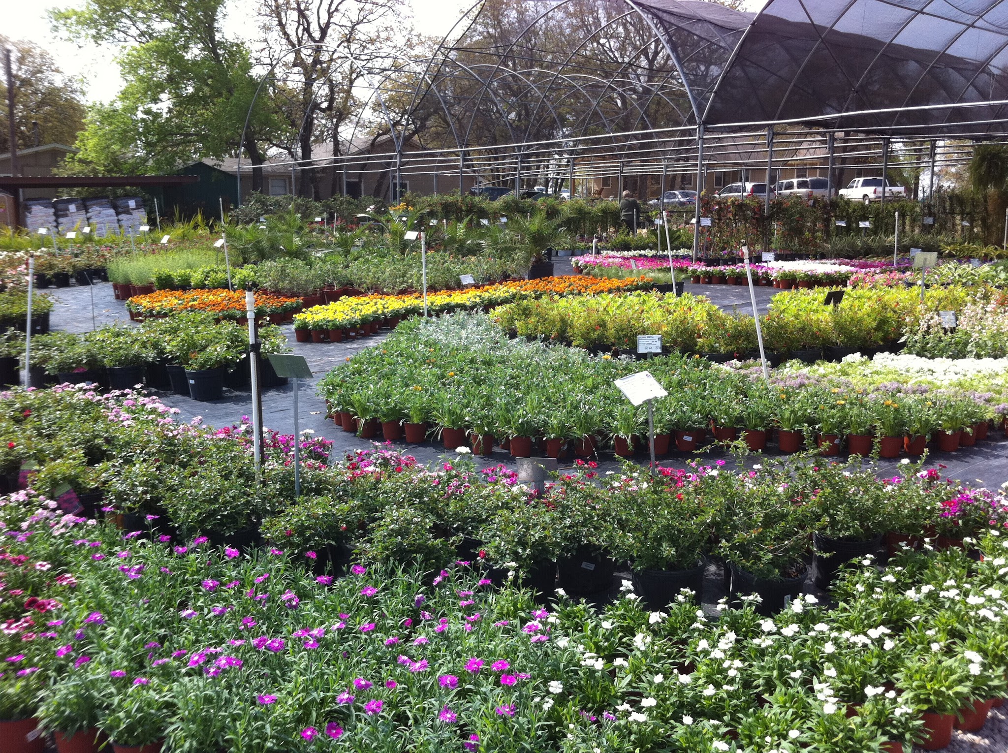 Guerin Nursery and Greenhouses