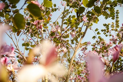 Photos of Private Park Cemetery - Jasmine Park