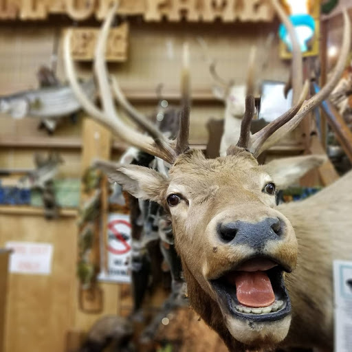 Taxidermy Hall Fame of NC - Thumbnail