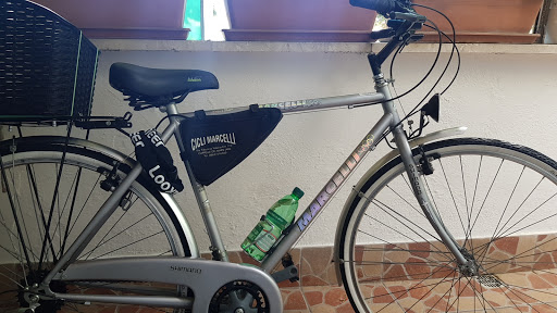 cicli marcelli - Visual