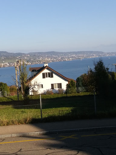 Primarschule - Visual