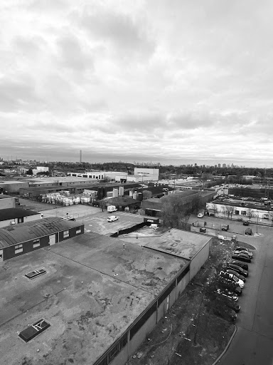 Central Scarborough Physiotherapy Clinic - pt Health - Thumbnail