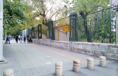 university