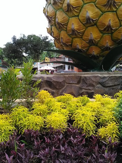 Photos of Aulia Aquarium