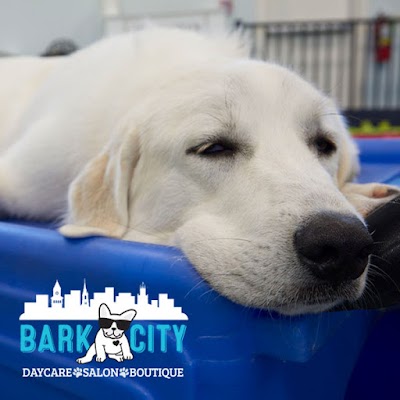 Bark City Doggy Daycare