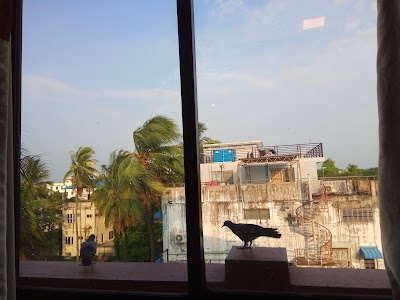 Photos of Palace View Hotel