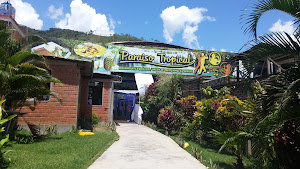 Paraiso Tropical 3