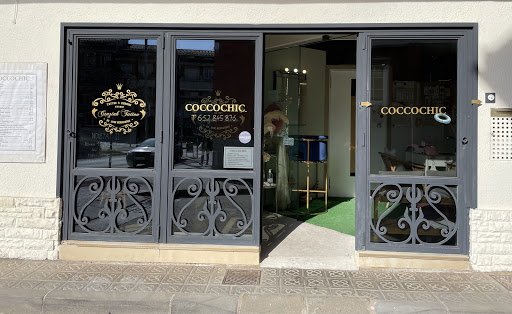 Coccochic - Visual