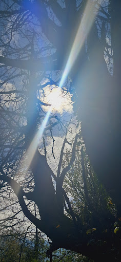 Bargoed Park - Visual