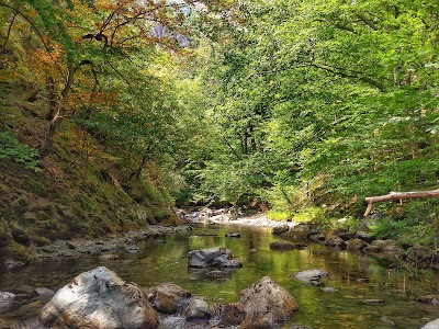 Photos of ЕКОПЪТЕКА БЯЛА РЕКА Eco path