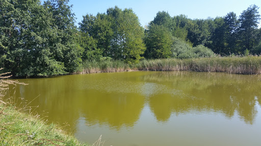 Eichelsee Mainbernheim