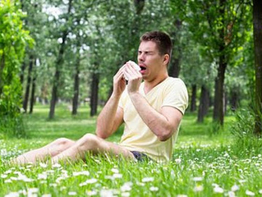 ALLERGY AND HOMEOPATHY post image