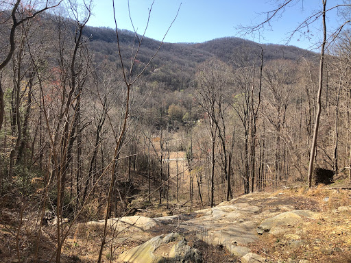 Norman Wilder Forest