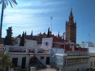 Photos of Hotel Palacio Alc&aacute;zar