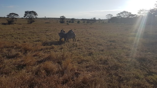 Lualenyi camp