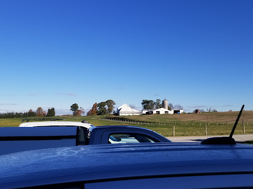 Phantom Auto Works - Visual