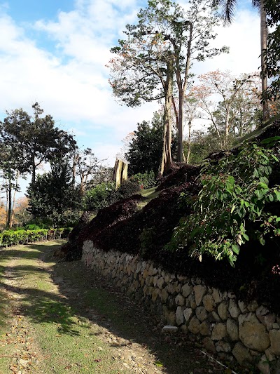 Photos of JARDINES VISTA VERDE
