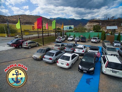 Photos of Marea Roja El Rancho