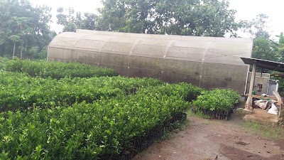 Photos of AGRO ALROSYID