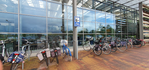 Intratuin Deventer - Thumbnail
