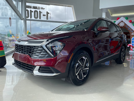 Ninja Torres Auto - Thumbnail