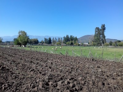 Photos of Rancho Las Carmelitas