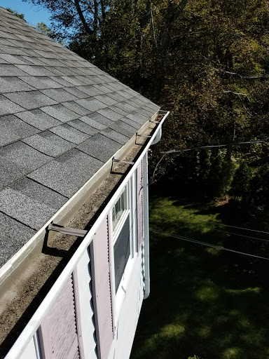 Pine Tree Brook - Visual