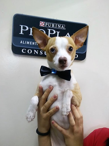 VETERINARIA LAS HUERTAS