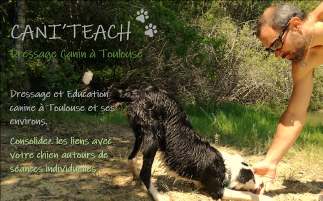 Avis sur CanI'teach - Éducateur comportementaliste canin et félin (chien et chat) ''Can I teach'' à Lardenne - Dresseur pour chiens