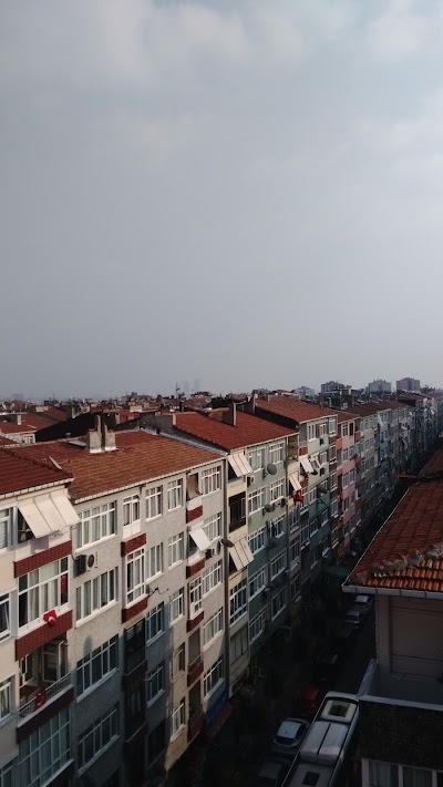 Photos of Lake B&uuml;y&uuml;k&ccedil;ekmece