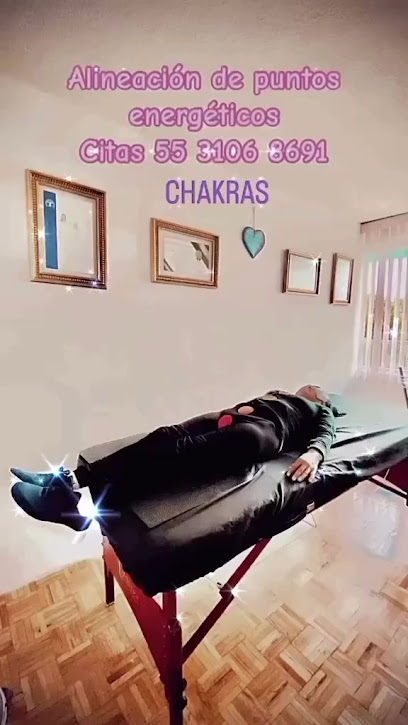 Biomagnetismo Coyoacán / flores de Bach /imanes