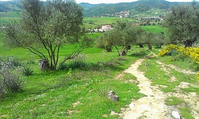 Photos of Akal Luḍa