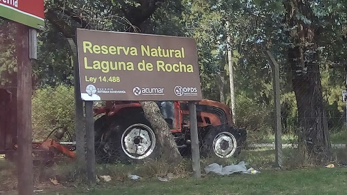 Reserva Natural Integral y Mixta Laguna de Rocha, Author: Pablo P