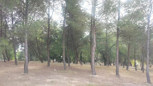 Quebradas Park - Visual